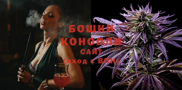 СК Аркадак