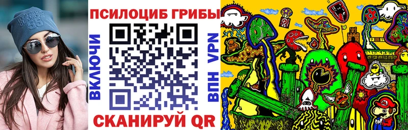 Псилоцибиновые грибы Psilocybe  Саянск 